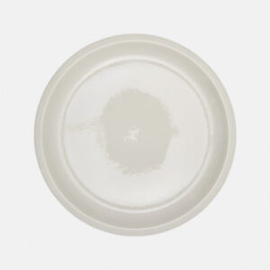 Dinner Plate